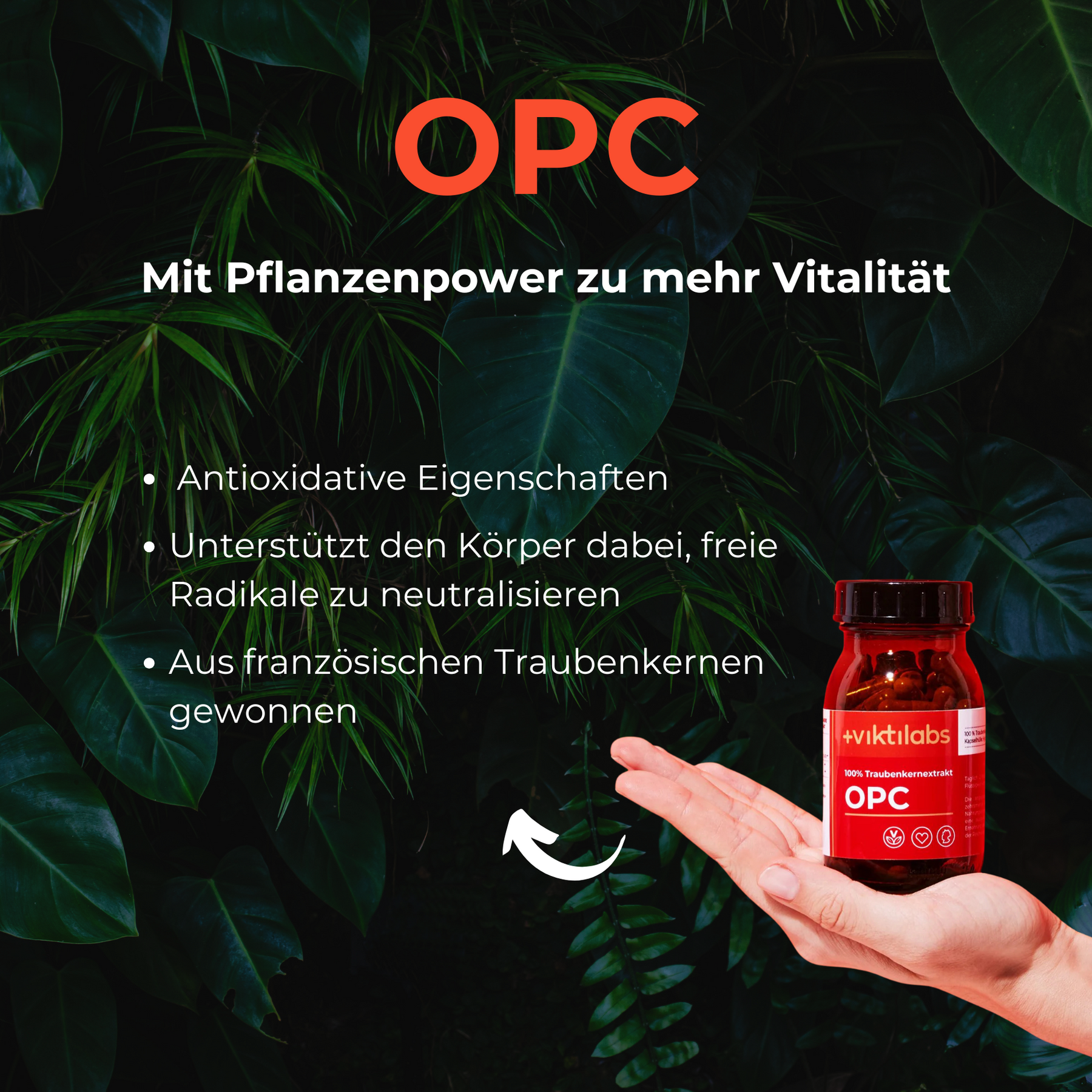 Plant Power Package: Turmeric, OPC, Organic Grapefruit Extract