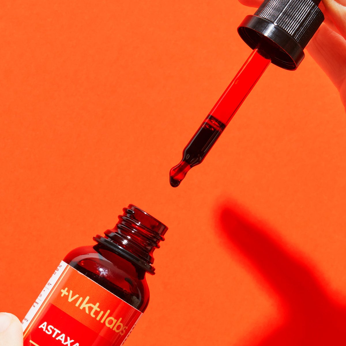 06 250222 Viktilabs 1797