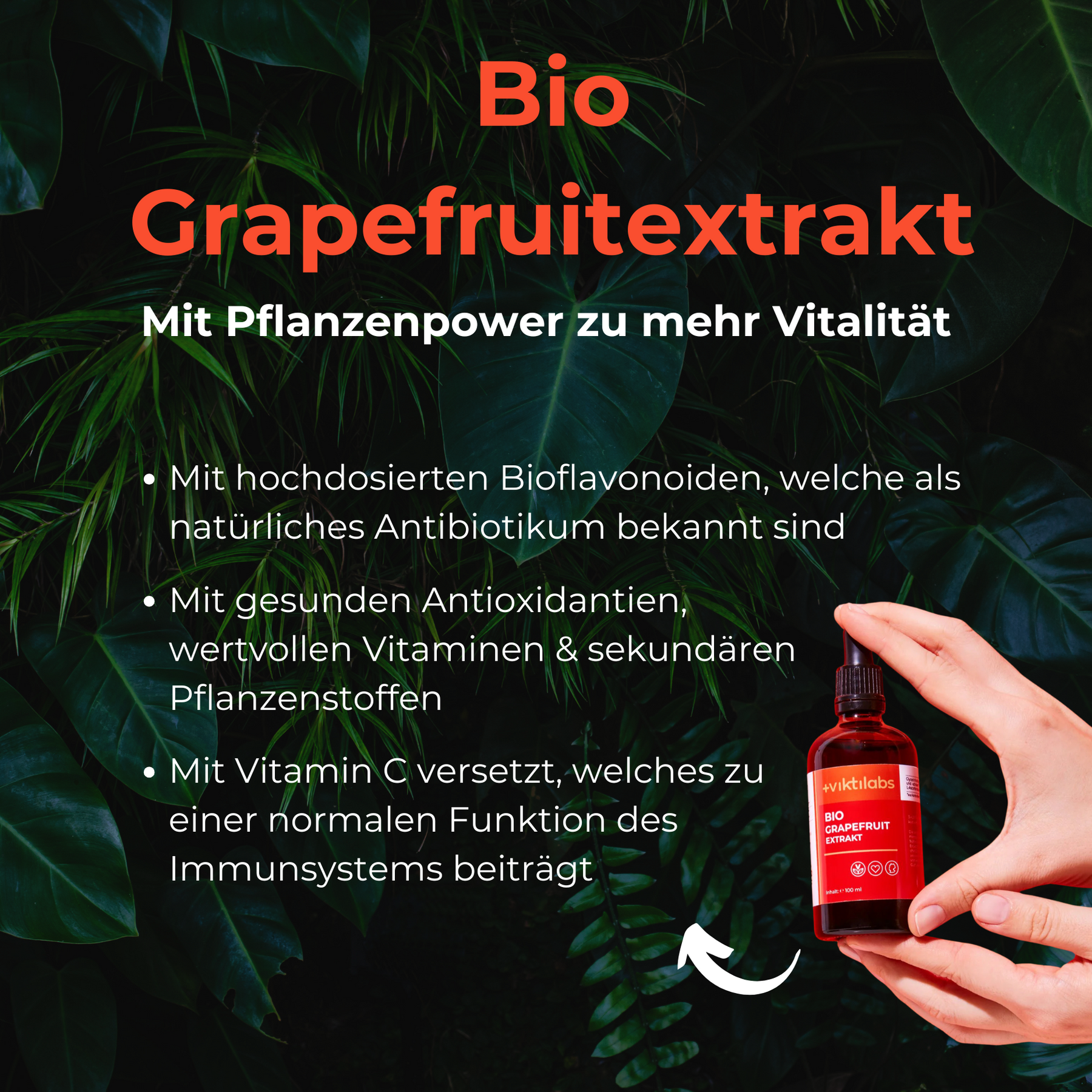 Plant Power Package: Turmeric, OPC, Organic Grapefruit Extract