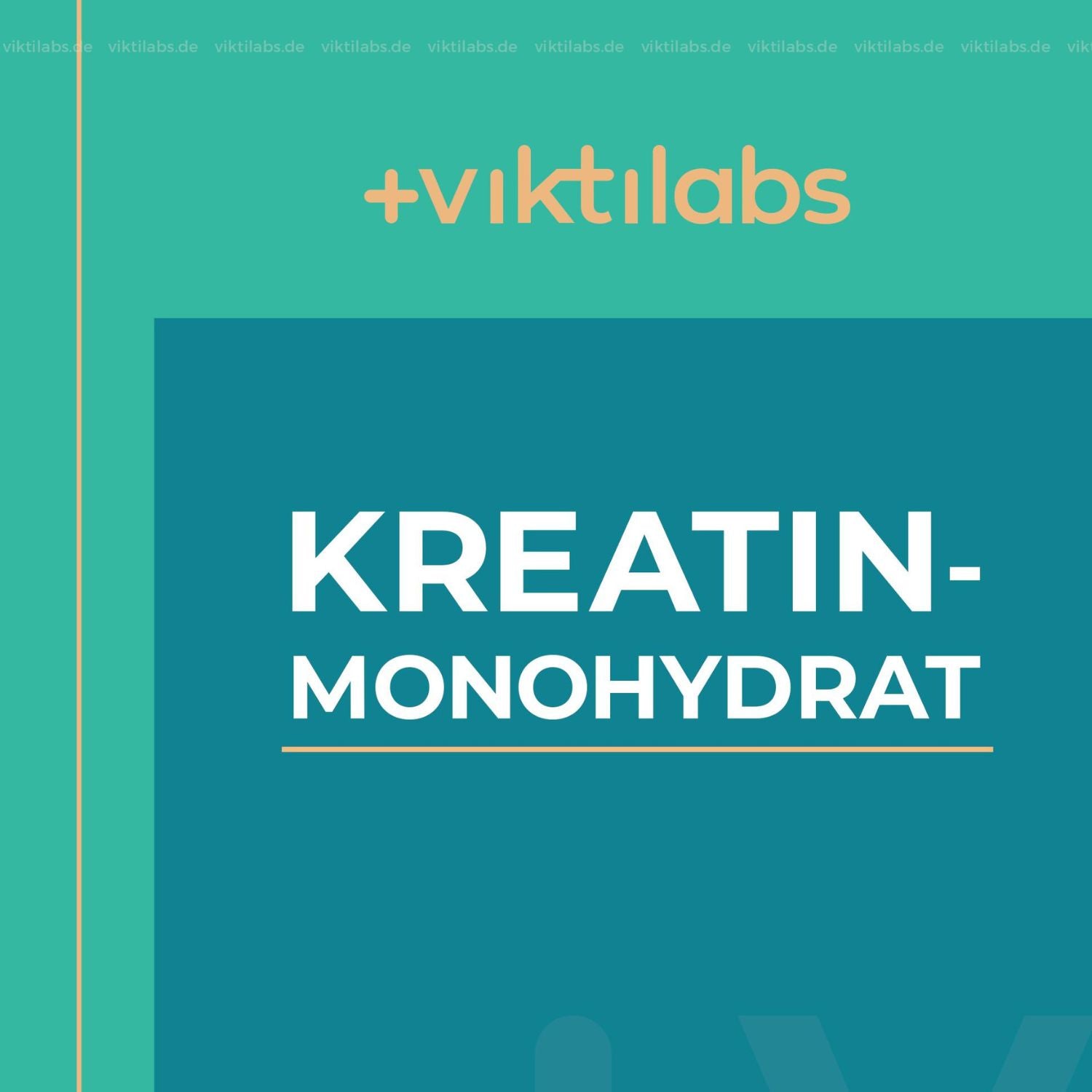 Creatine Monohydrate NL Offer