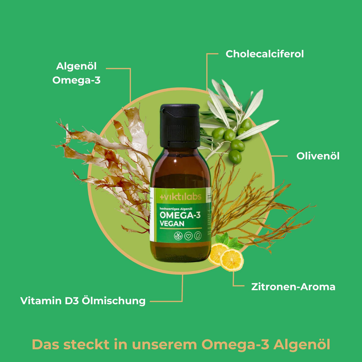 Oferta para Omega-3: Vegano con aceite de algas