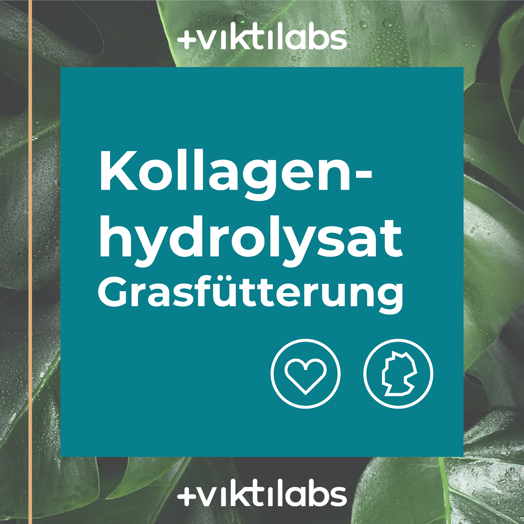 9 Packungen Kollagen aus Grasfütterung á 500g