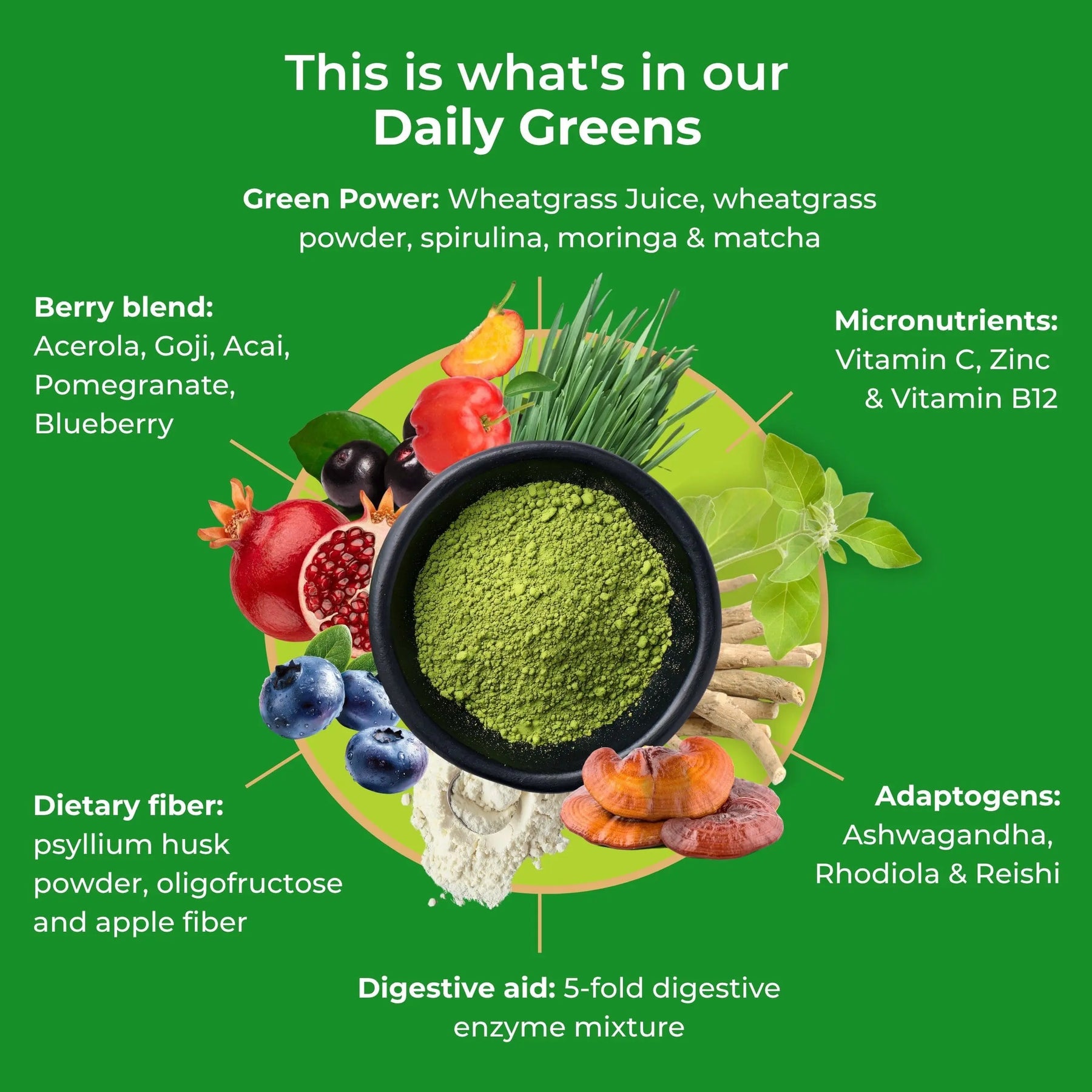 viktilabs-infografía-de-verduras-diarias-ingredientes [lang-en]