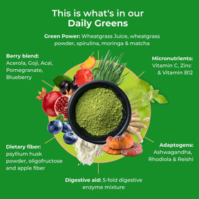 viktilabs-infografía-de-verduras-diarias-ingredientes [lang-en]