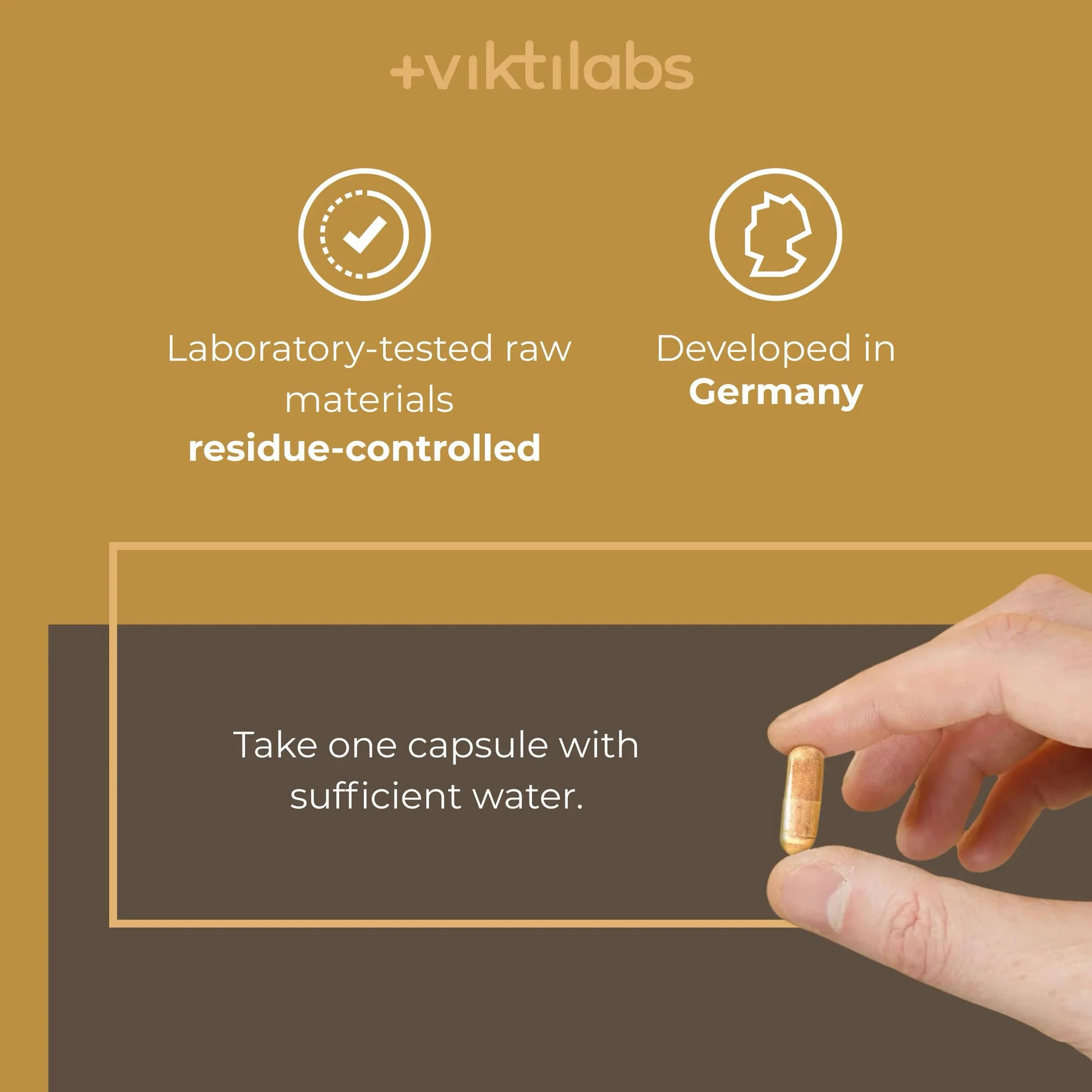 viktilabs-mandelpilz-infografik-use [lang-en]