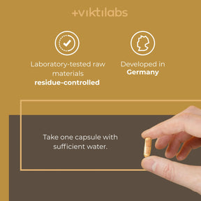 viktilabs-mandelpilz-infografik-use [lang-en]