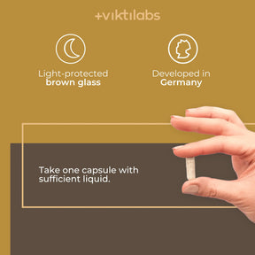 viktilabs-reishi-infografik-use [lang-en]
