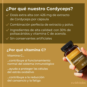 viktilabs-cordyceps-infografik-por-que-nuestro-producto [lang-es]