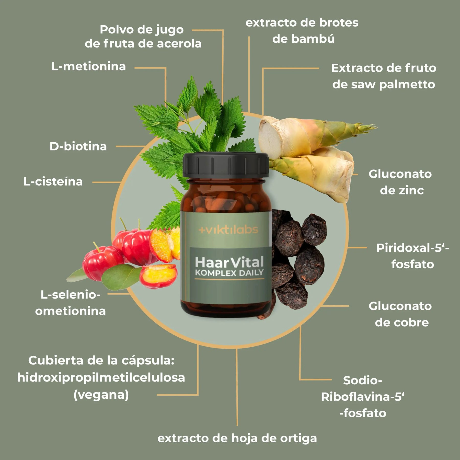 viktilabs-haarvital-komplex-infografik-ingredientes [lang-es]