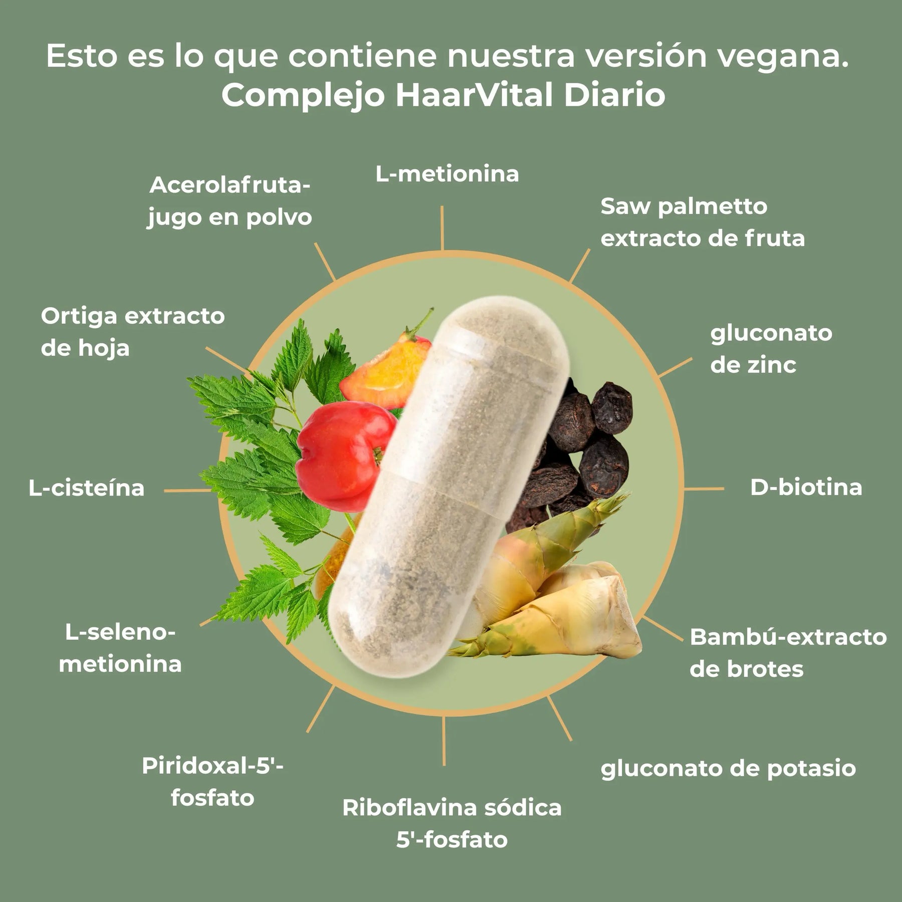viktilabs-haarvital-komplex-infografik-inhaltsstoffe [lang-es]