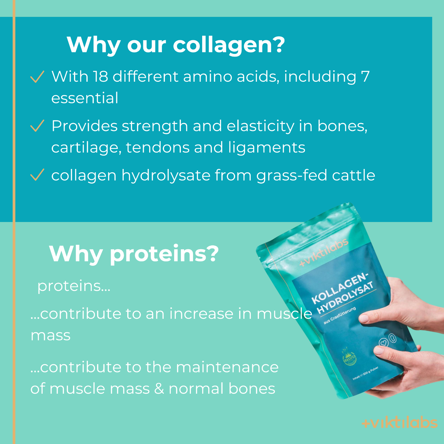 viktilabs-kollagen-infografik-why-our-product [lang-en]