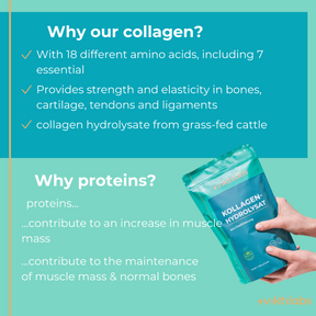 viktilabs-kollagen-infografik-why-our-product [lang-en]