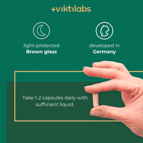 viktilabs-l-theanin-infografik-use [lang-en]