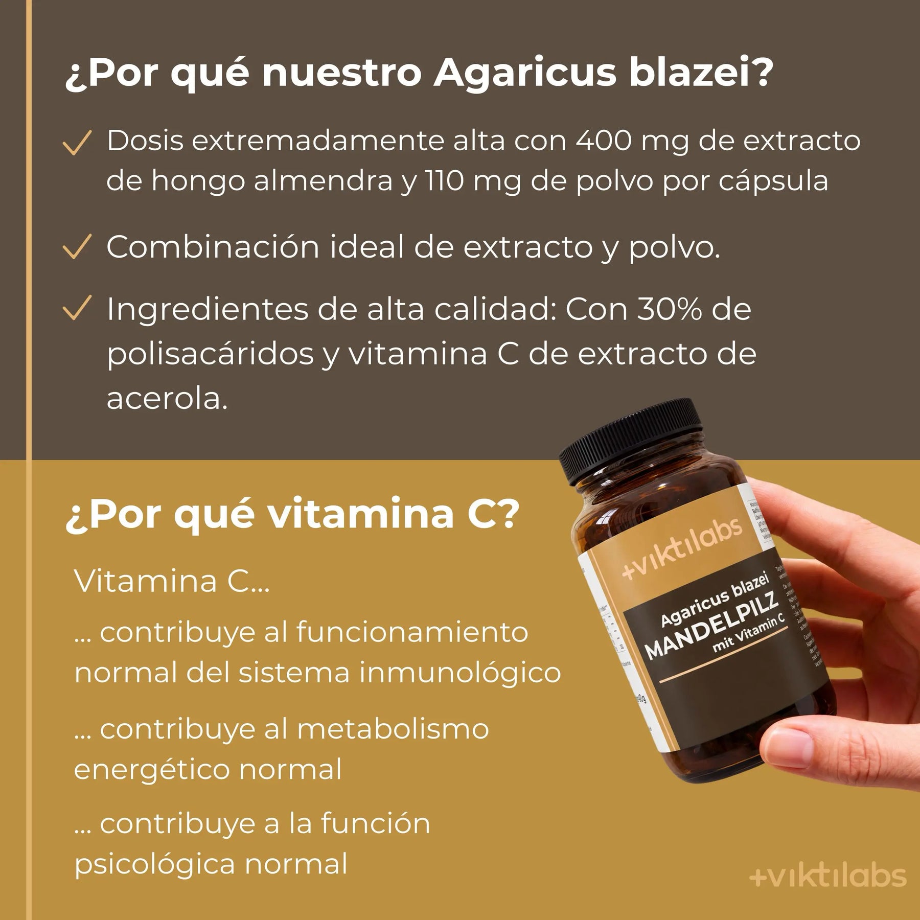 viktilabs-mandelpilz-infografik-por-que-nuestro-producto [lang-es]