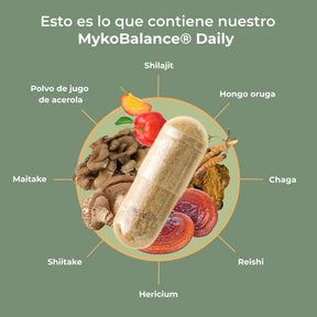 viktilabs-myko-balance-infografik-inhaltsstoffe [lang-es]