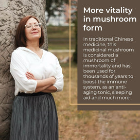 viktilabs-reishi-infografik-vitality [lang-en]