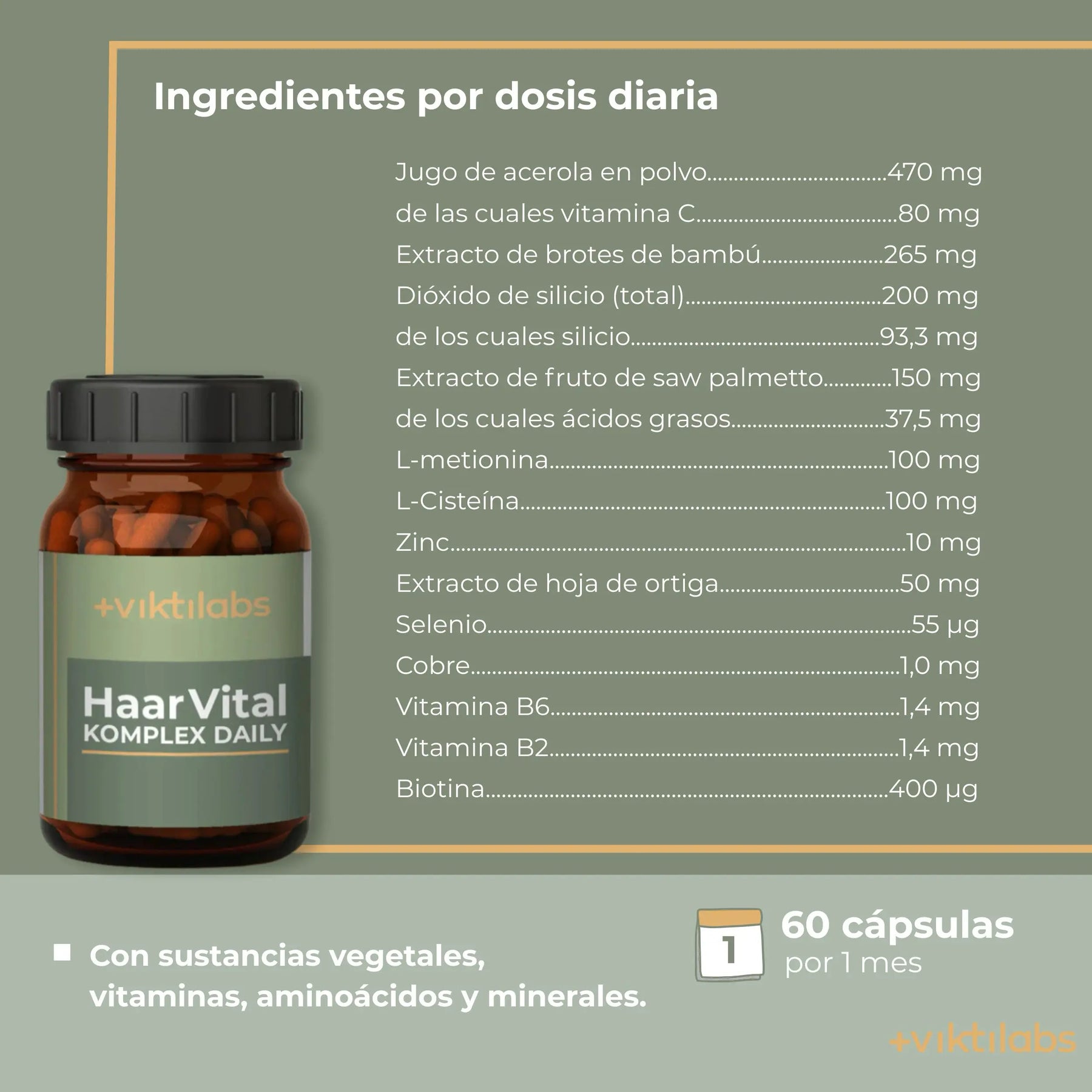 viktilabs-haarvital-komplex-infografik-ingredientes-por-por porción [lang-es]