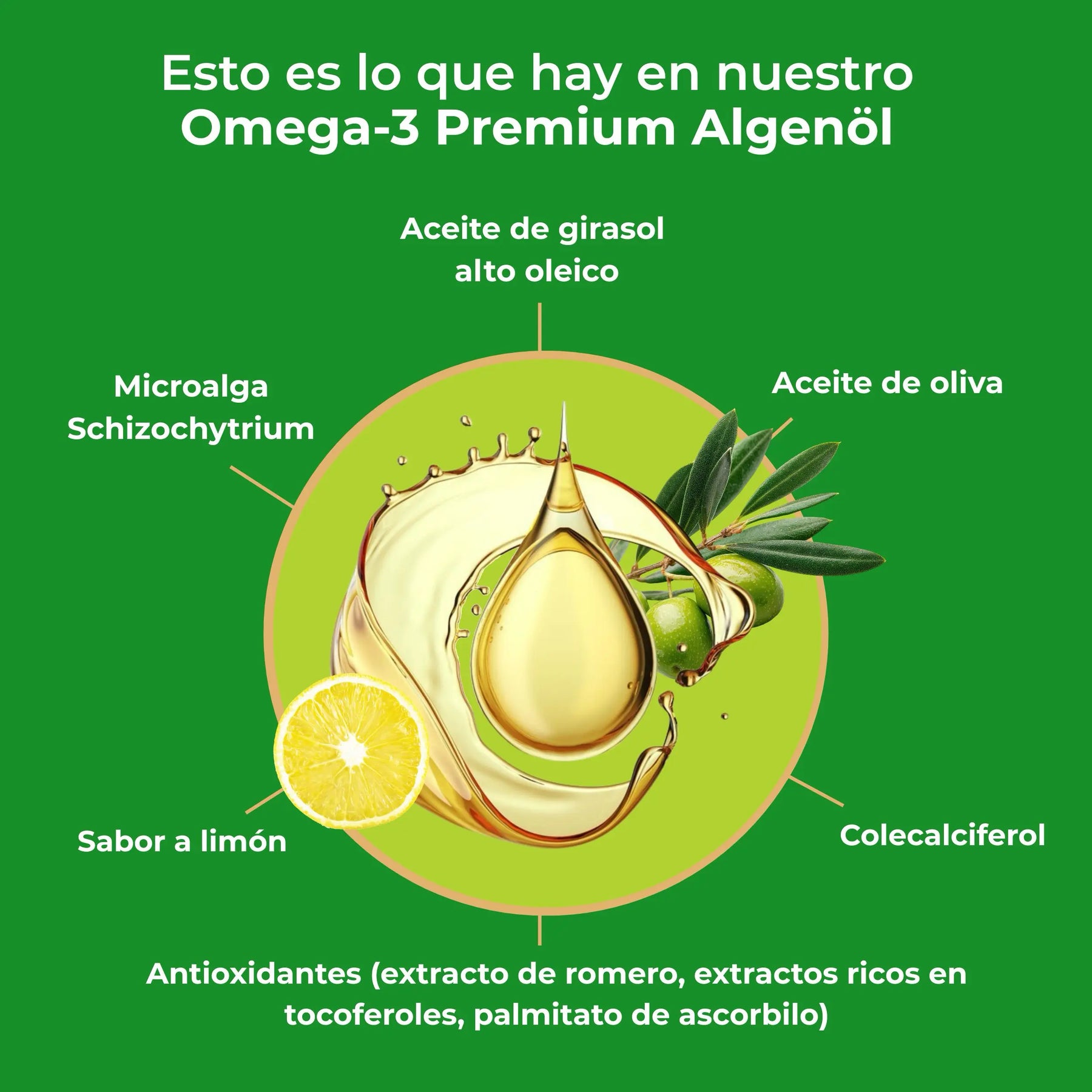 viktilabs-omega-3-vegan-infografik-ingredientes [lang-es]