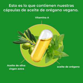 viktilabs-oreganoöl-infografik-ingredientes [lang-es]