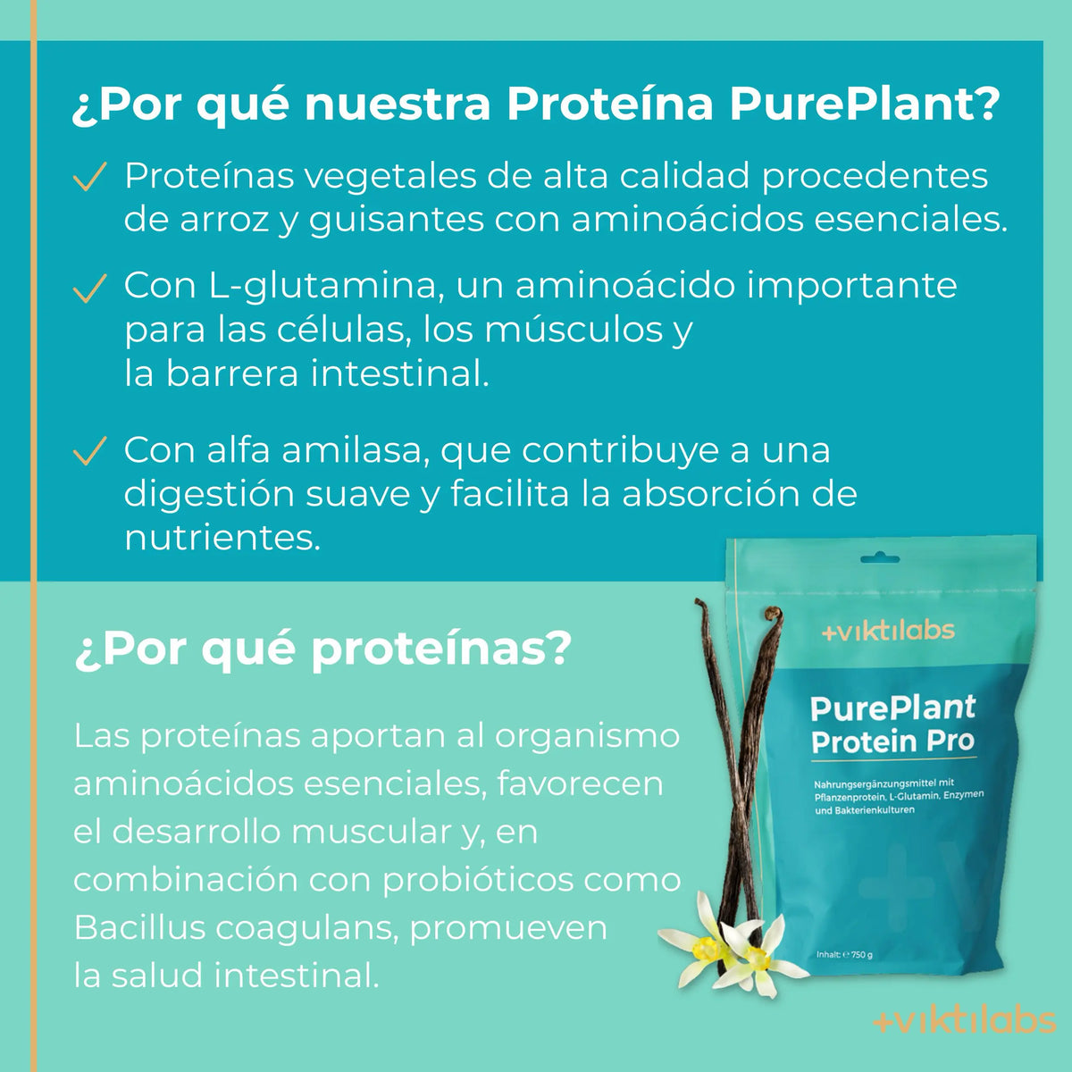 viktilabs-pure-plant-protein-pro-vanille-infografik-warum-unser-produkt [lang-es]