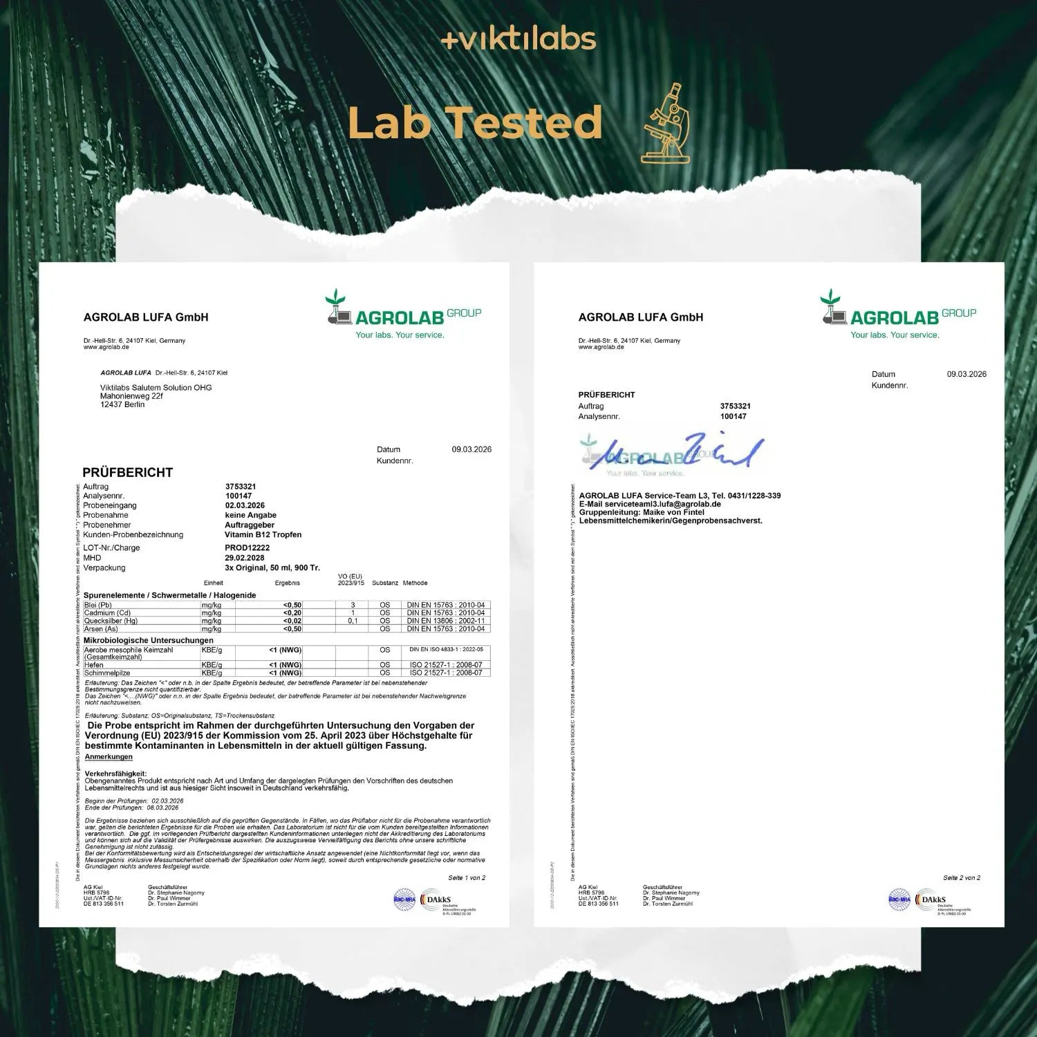 viktilabs-vitamin-b12-zertifikat-1 [lang-en]
