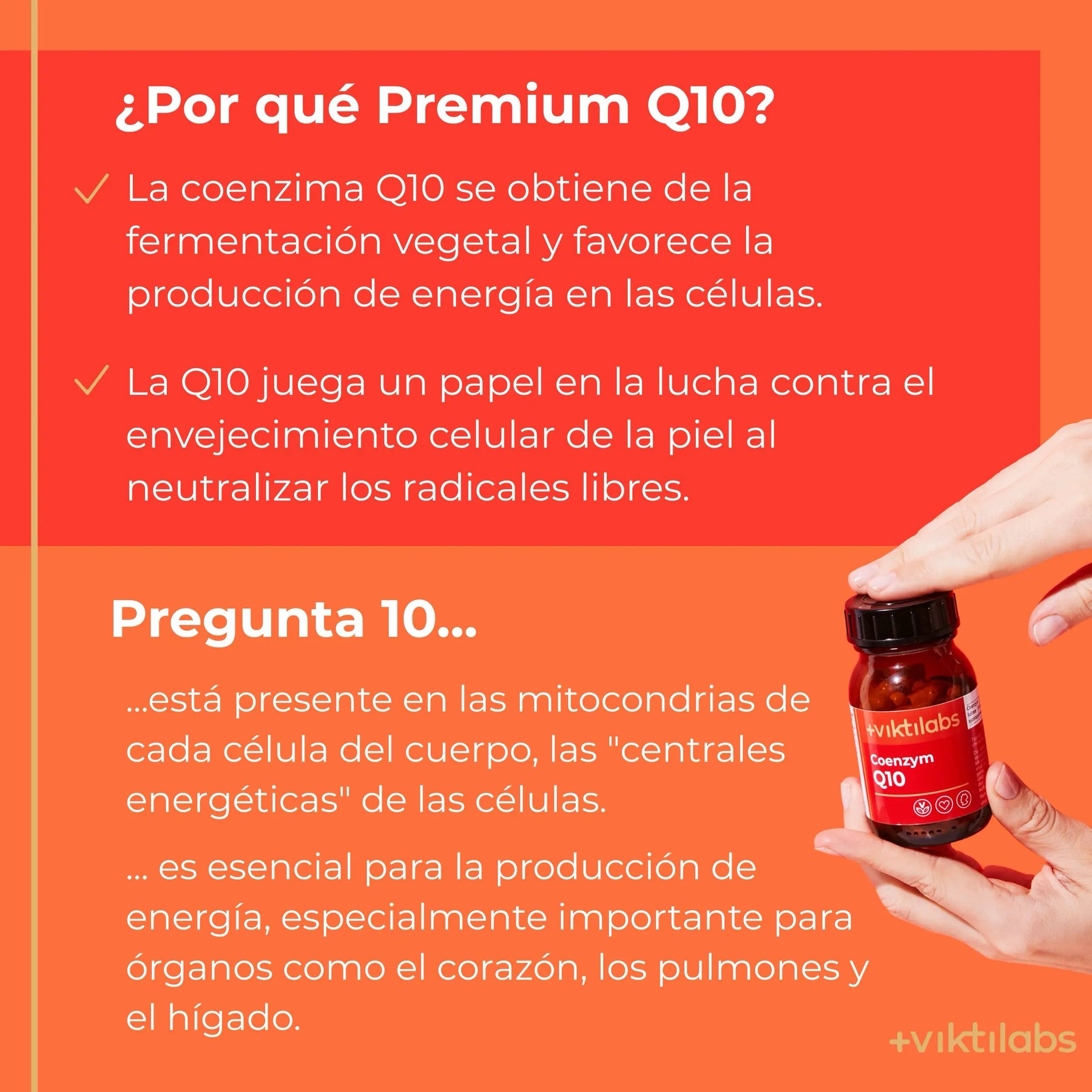 viktilabs-coenzym-q10-infografik-por-que-nuestro-producto [lang-es]