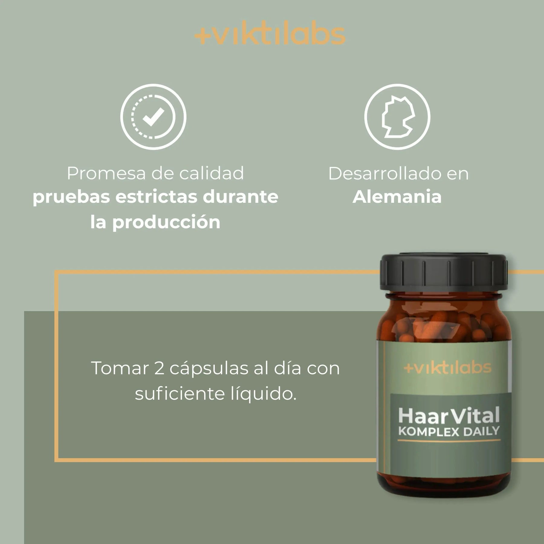 viktilabs-haarvital-komplex-infografik-uso del producto [lang-es]