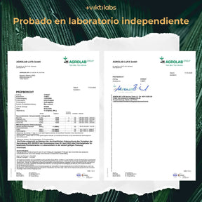 viktilabs-myo-inositol-zertifikat-1 [lang-es]