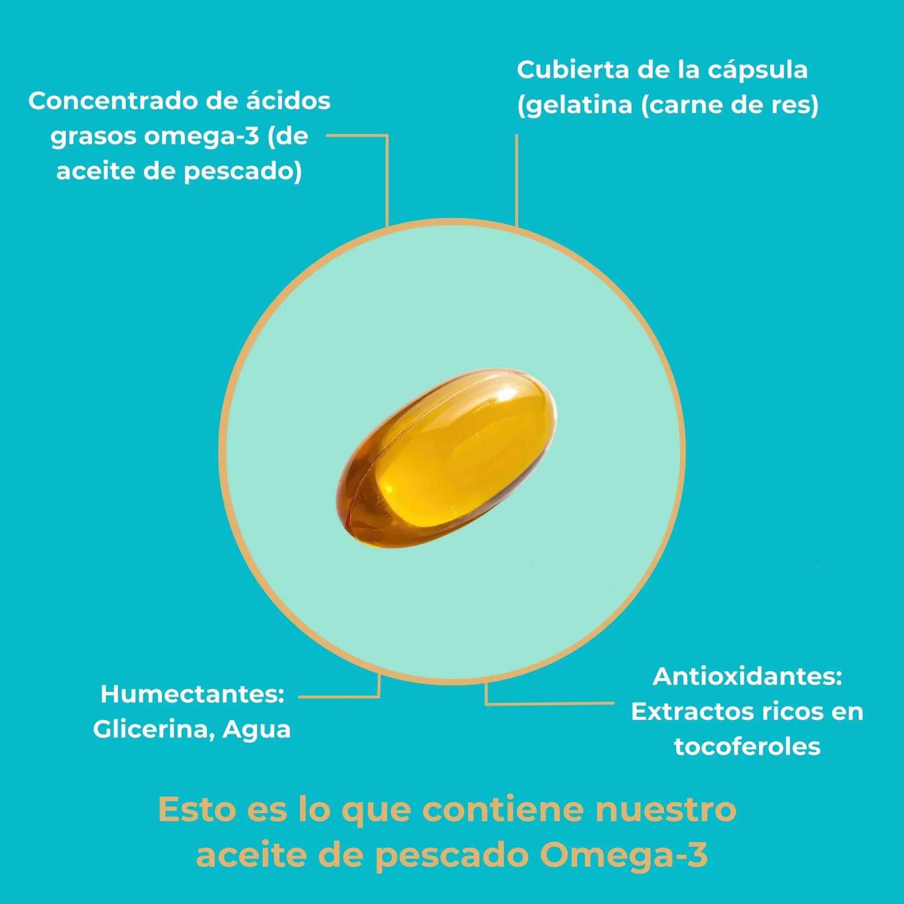 viktilabs-omega-3-fischoel-infografik-ingredientes [lang-es]