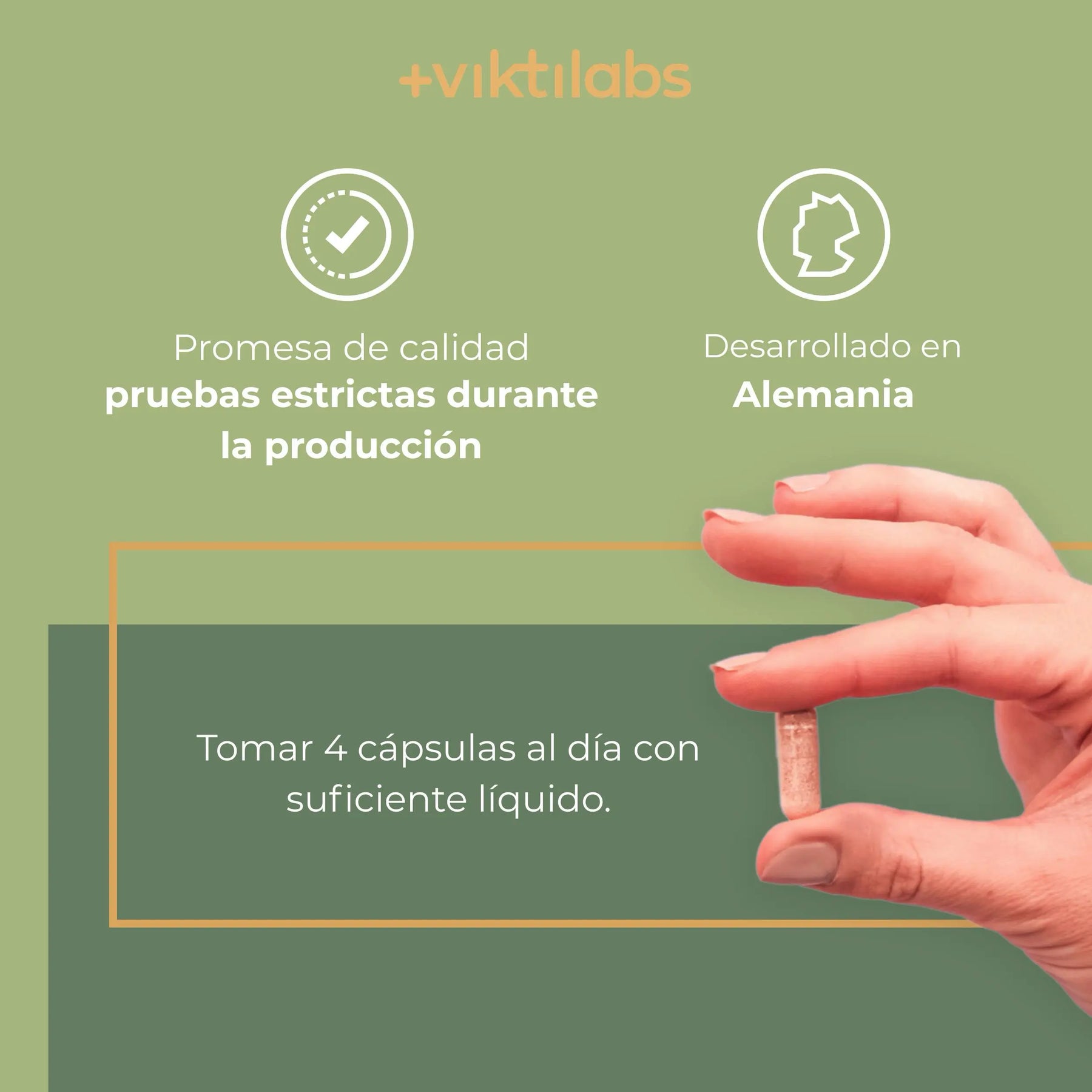 viktilabs-revitoxa-infografik-uso del producto [lang-es]