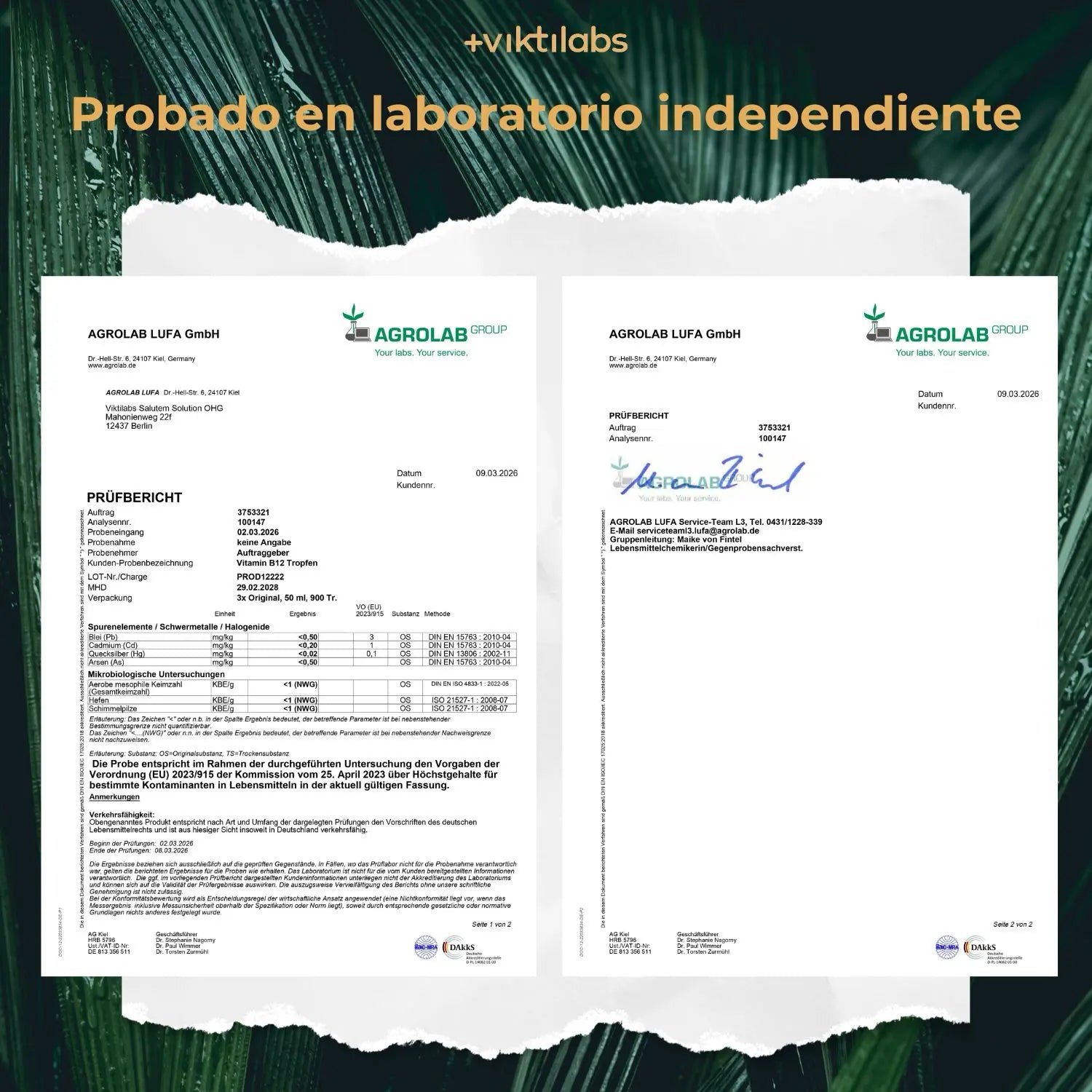 viktilabs-vitamin-b12-zertifikat-1 [lang-es]