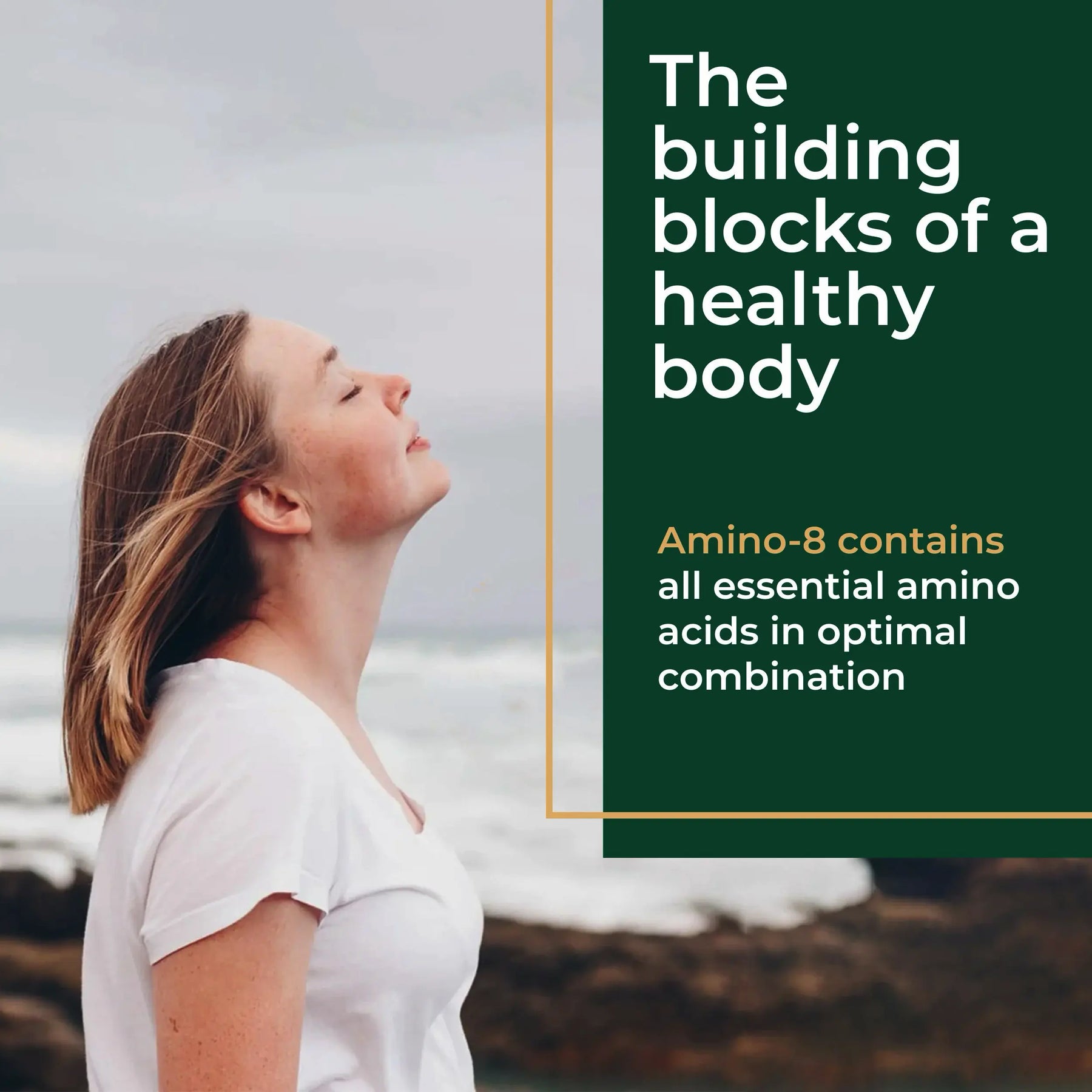 viktilabs-amino-8-infografik-usp-1 [lang-en]