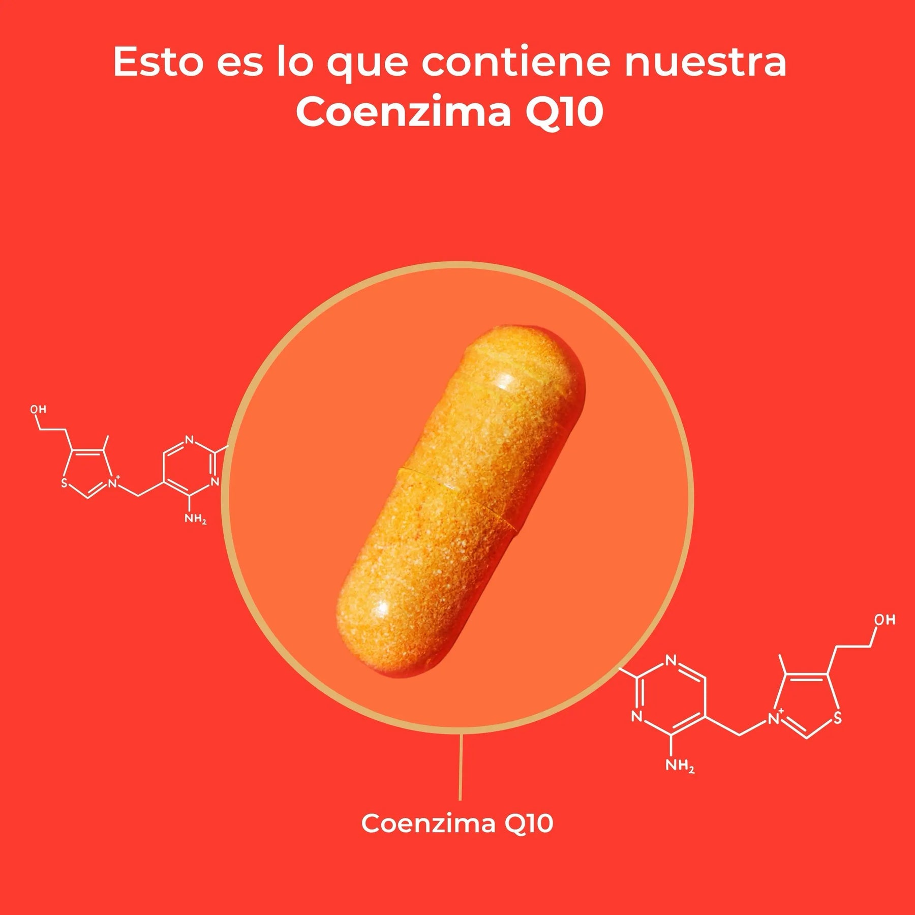 viktilabs-coenzym-q10-infografik-ingredientes [lang-es]