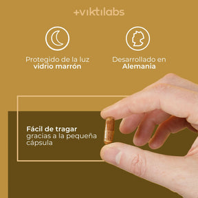 viktilabs-cordyceps-infografik-uso del producto [lang-es]