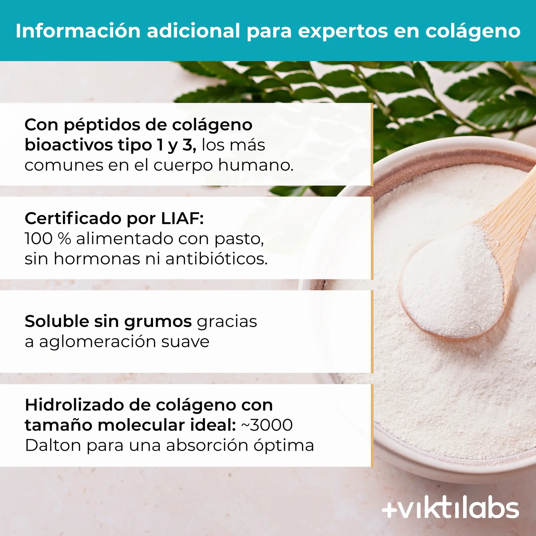viktilabs-kollagen-infografik-informacion-adicional [lang-es]