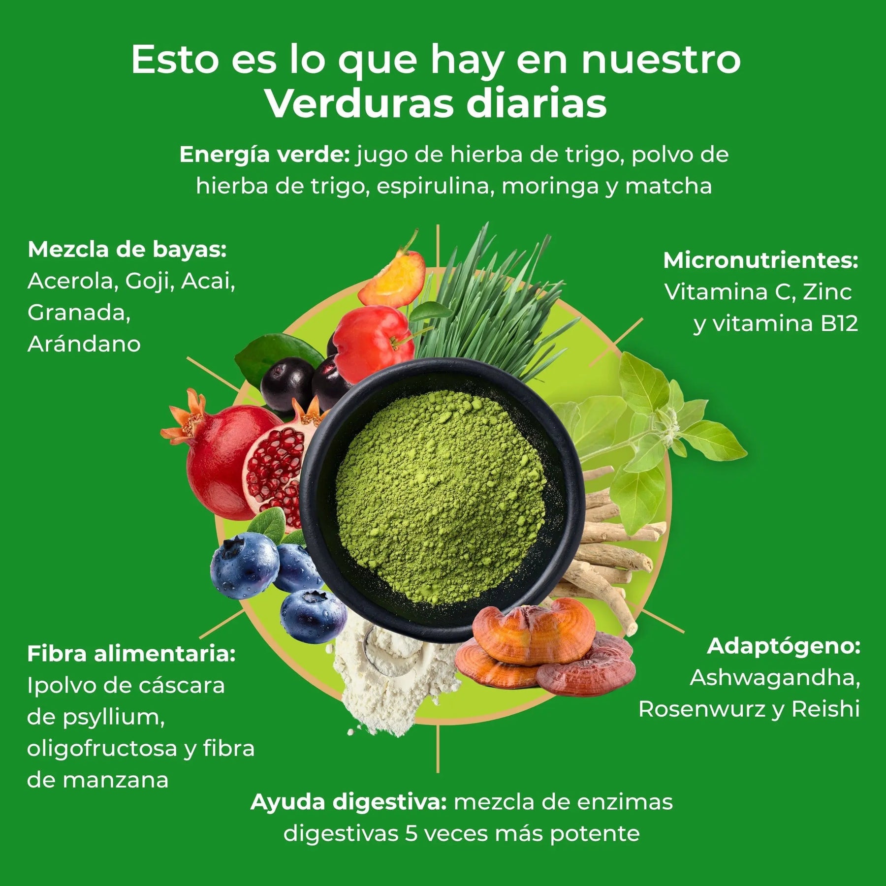viktilabs-infografía-de-verduras-diarias-ingredientes [lang-es]