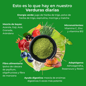 viktilabs-infografía-de-verduras-diarias-ingredientes [lang-es]