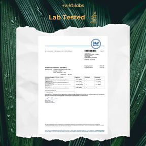viktilabs-haarvital-komplex-zertifikat-1 [lang-en]