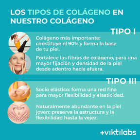 viktilabs-kollagen-infografik-kollagentyp [lang-es]