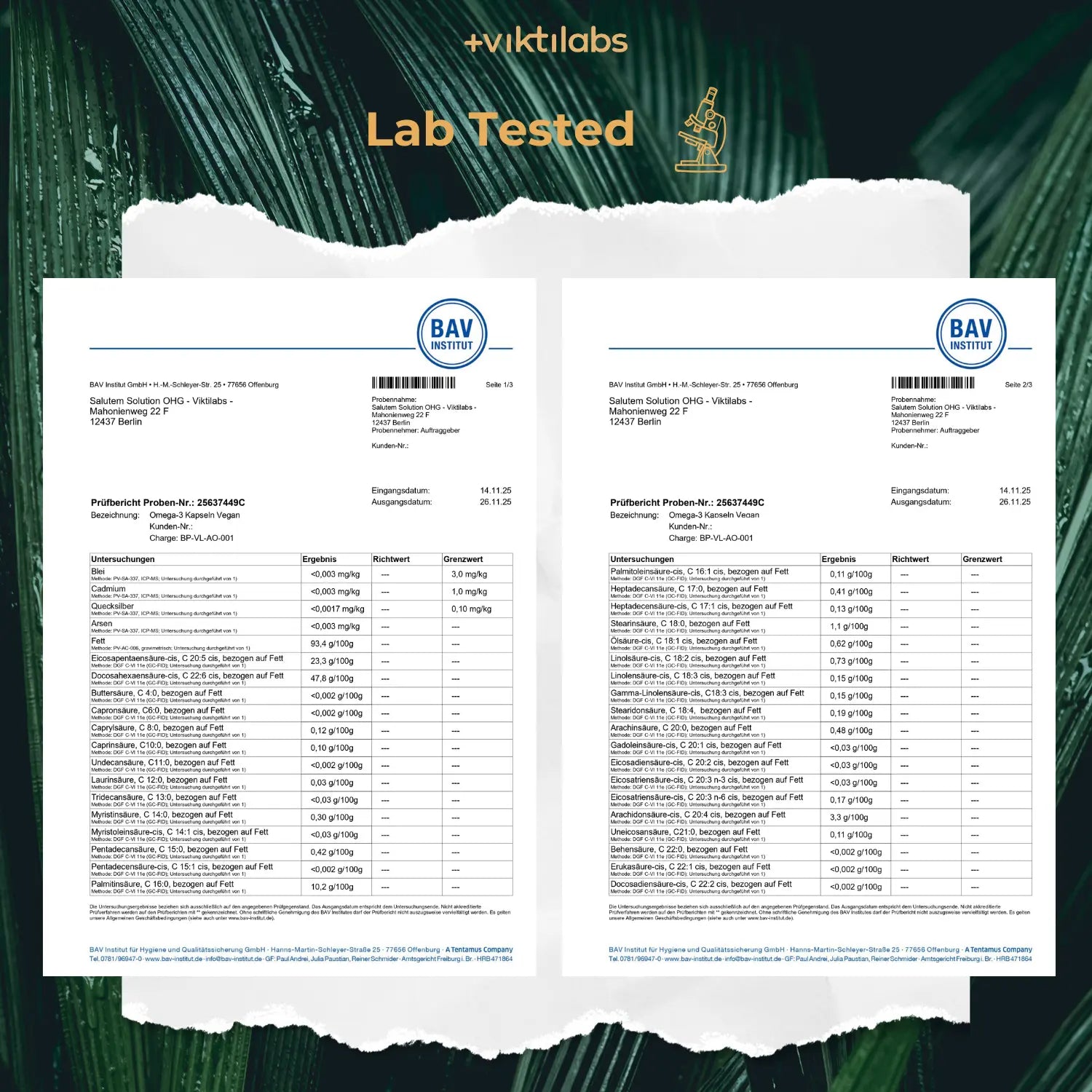 viktilabs-omega-3-v-kapseln-zertifikat-1 [lang-en]
