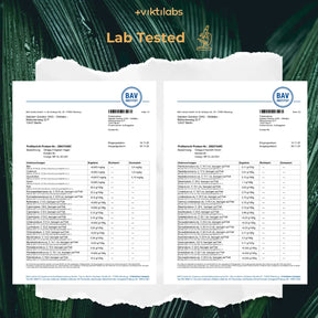 viktilabs-omega-3-v-kapseln-zertifikat-1 [lang-en]