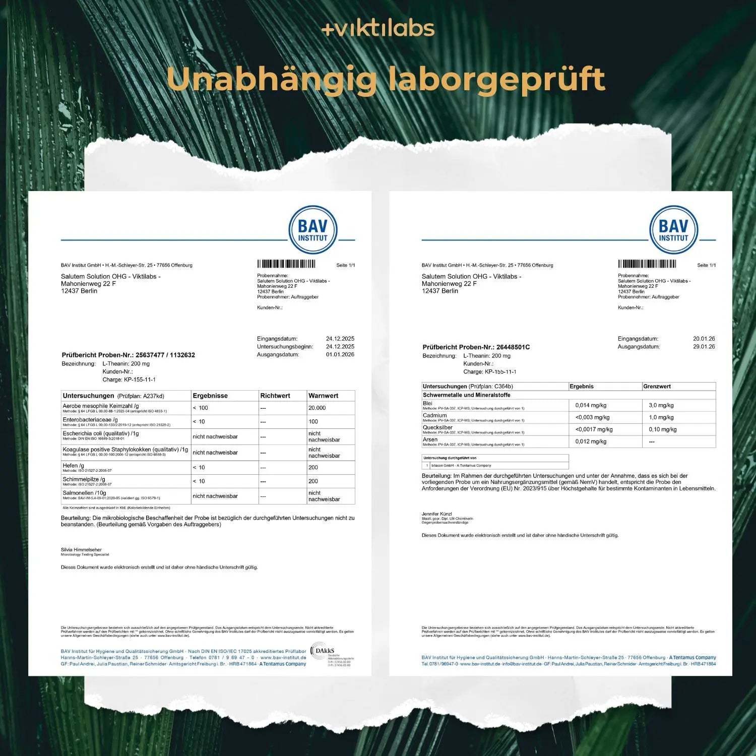 viktilabs-l-theanin-zertifikat-11 [lang-de]
