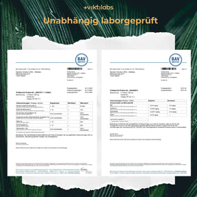 viktilabs-l-theanin-zertifikat-11 [lang-de]