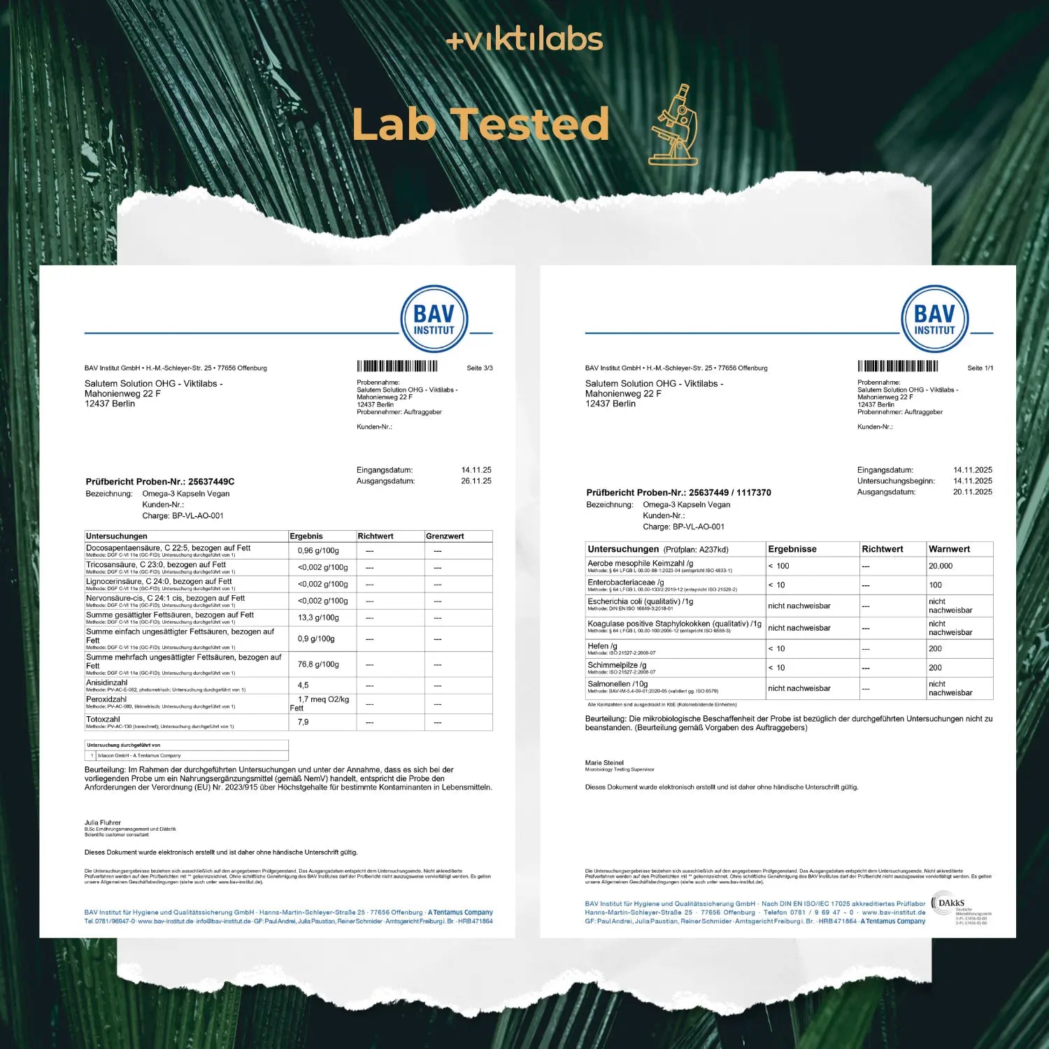 viktilabs-omega-3-v-kapseln-zertifikat-2 [lang-en]