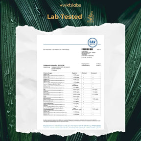 viktilabs-cordyceps-zertifikat-2 [lang-en]