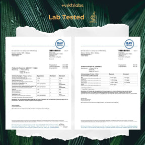 viktilabs-l-theanin-zertifikat-11 [lang-en]