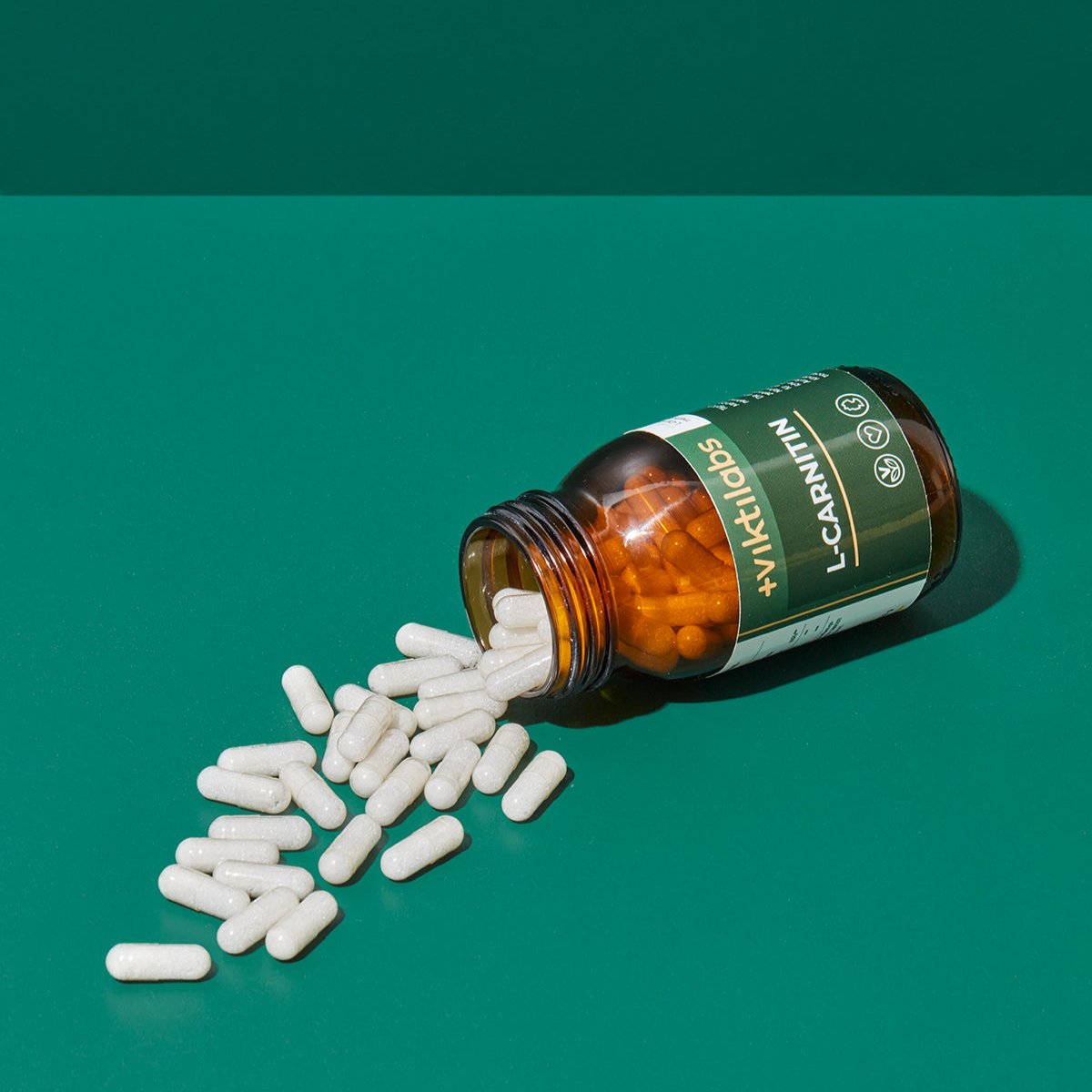 06 250222 Viktilabs 1716 F