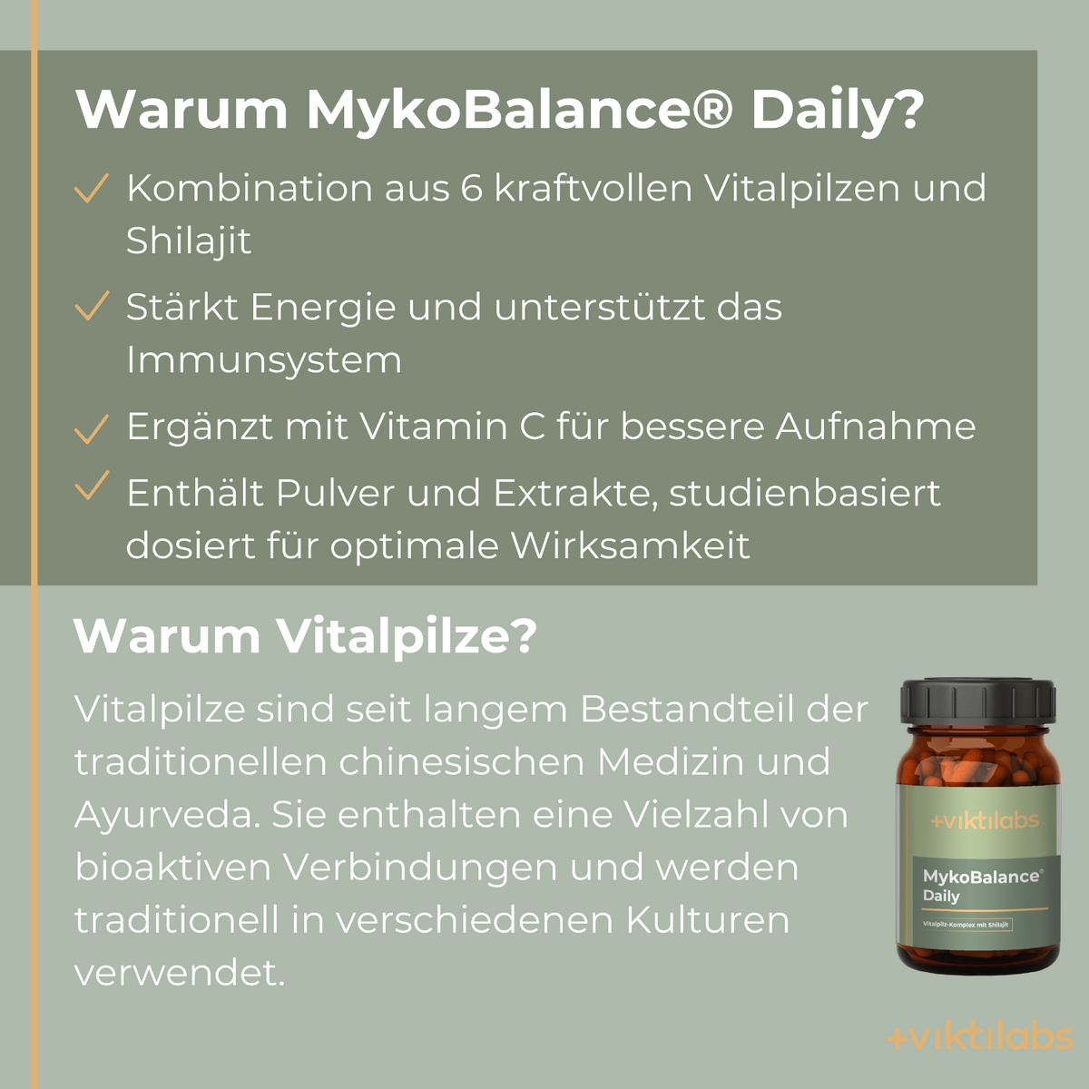 Viktilabs MykoBalance Pilzkomplex Info 2 [lang-de]