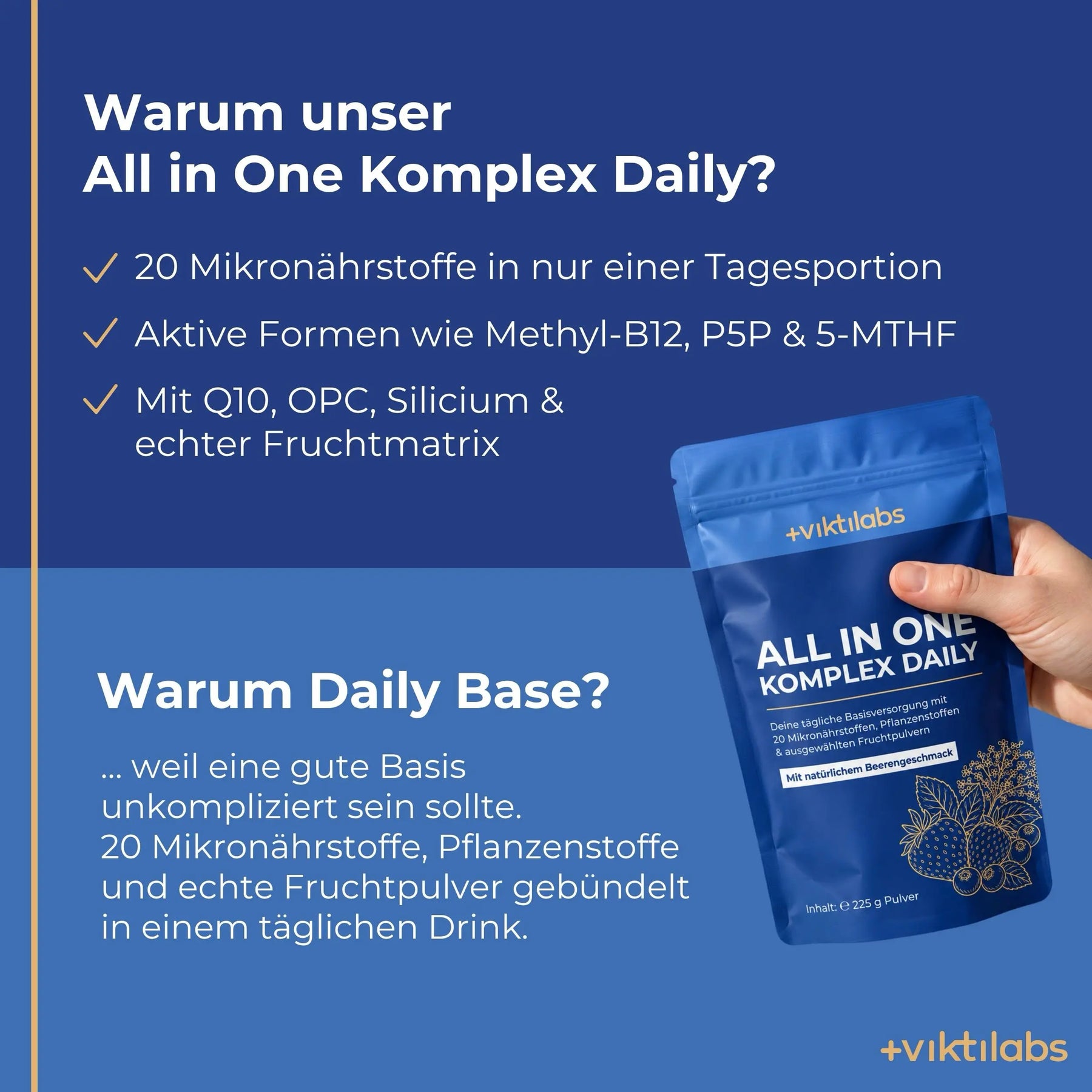 viktilabs-all-in-one-komplex-infografik-warum-unser-produkt [lang-de]