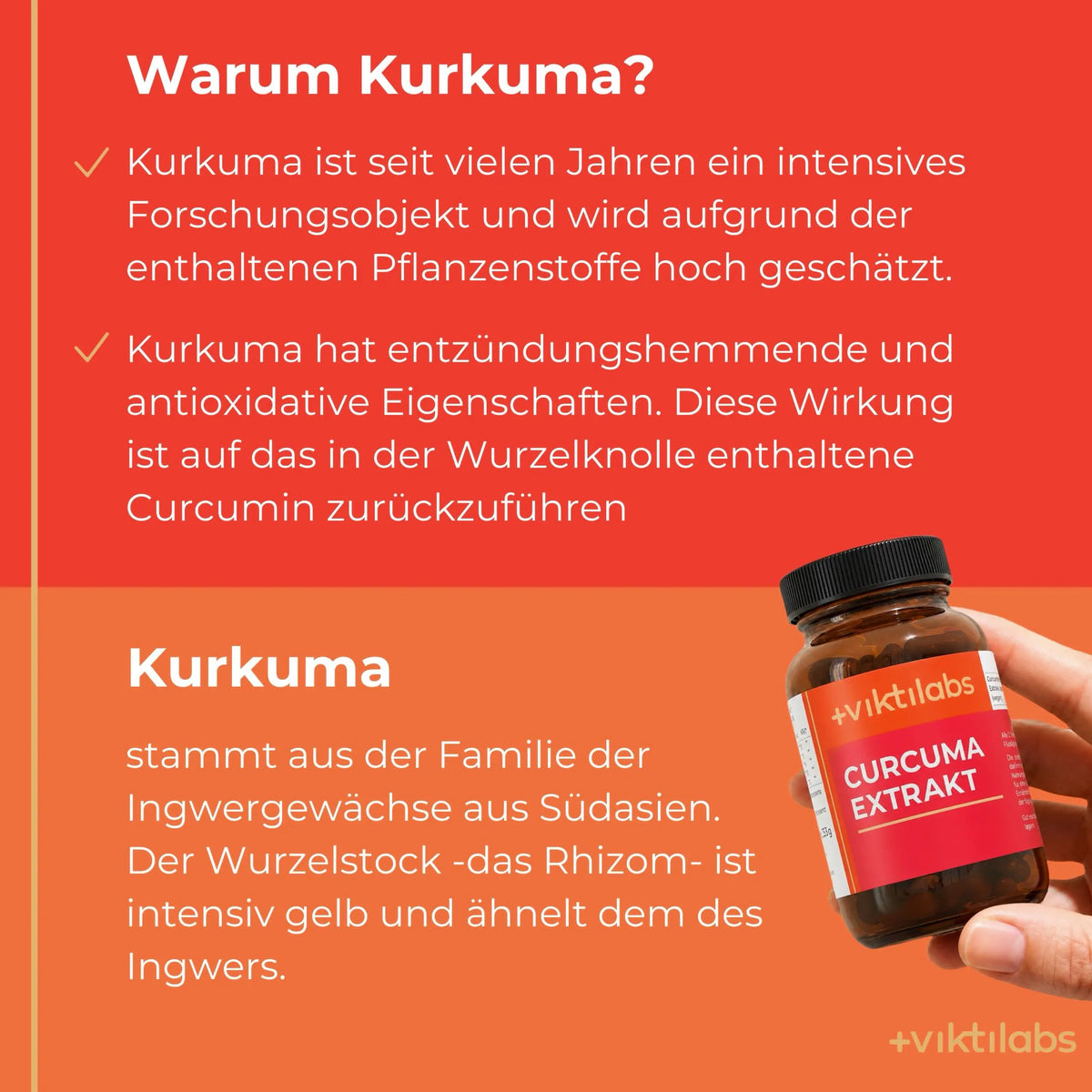 viktilabs-curcuma-extrakt-infografik-warum-unser-produkt [lang-de]